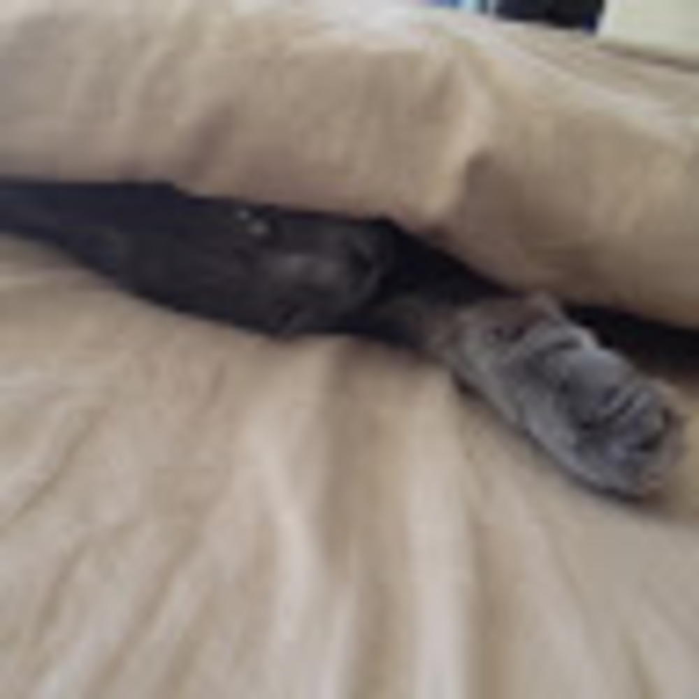 Meet your Posher, Megan